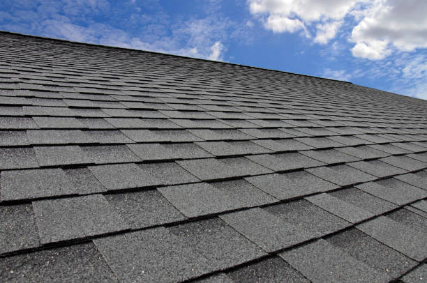 Best Roof Leak Repair  in Cohoe, AK